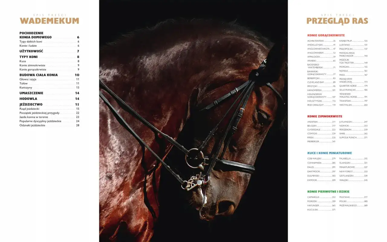 Ciemnobrązowy koń w rzędem, z pianą na pysku. Na lewo spis treści, gdzie można znaleźć informacje o tym, co to jest karosz.