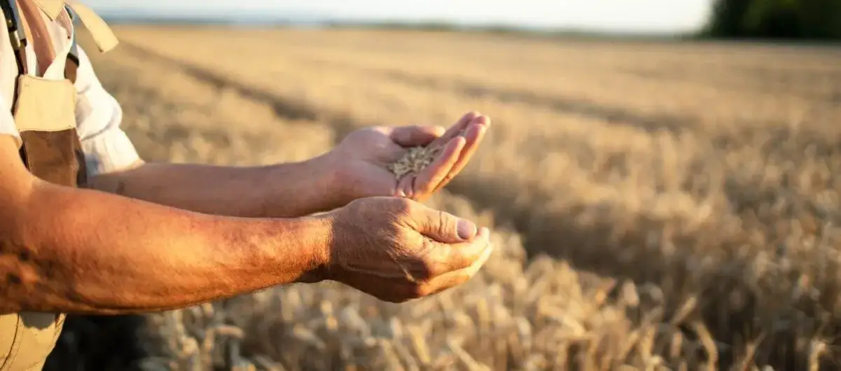 Zielony Ład w rolnictwie - co musisz wiedzieć o zmianach i wyzwaniach