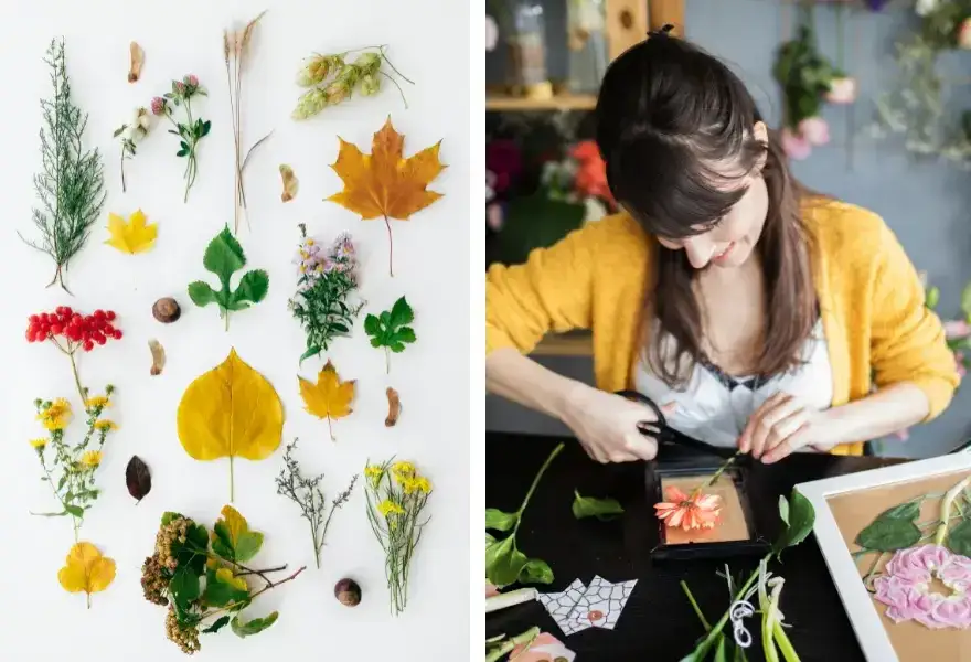 Jak suszyć kwiaty, by nie straciły koloru? Kompletny poradnik