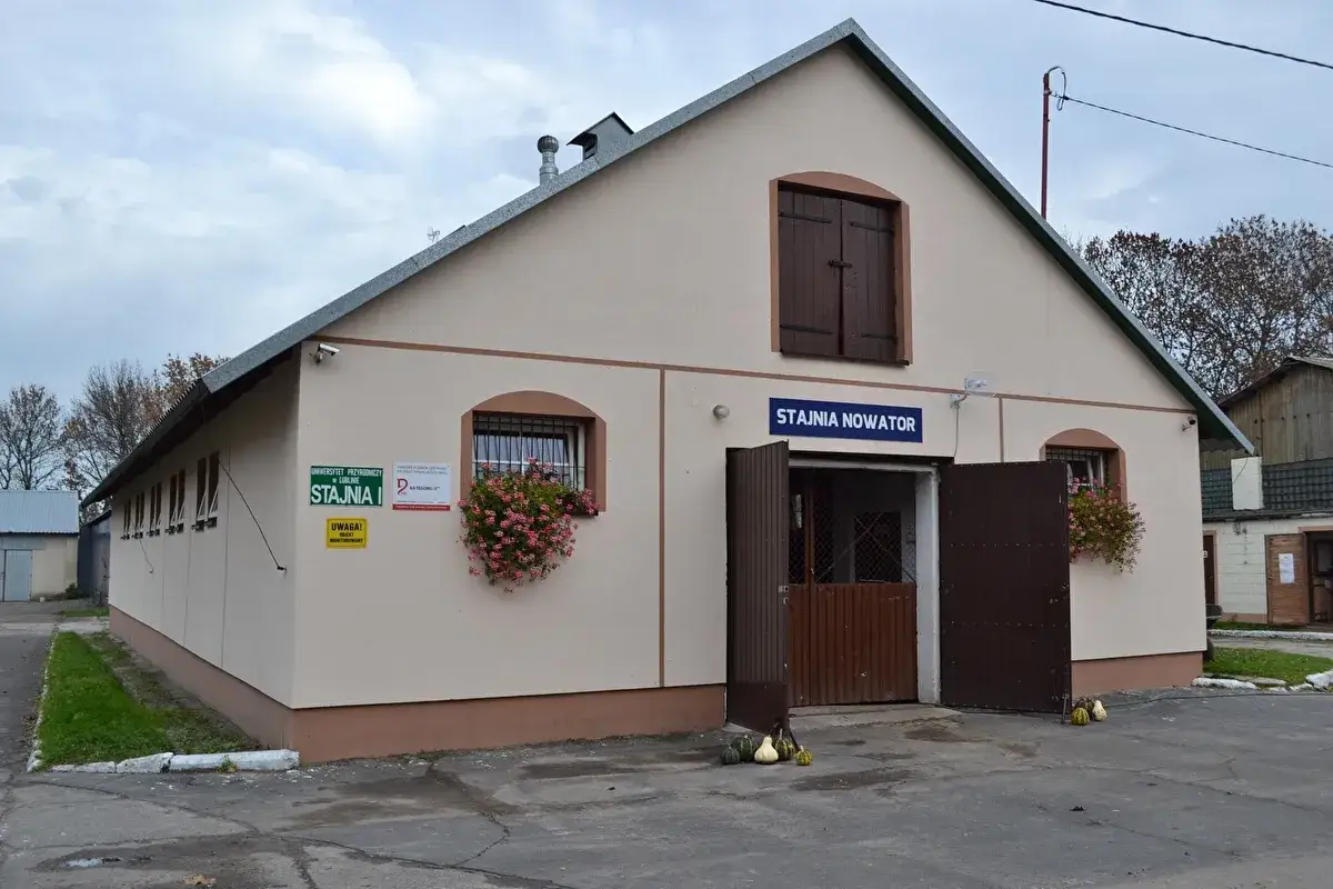 Stajnie Lublin: Jazda konna, pensjonat, hipoterapia wybierz mądrze!