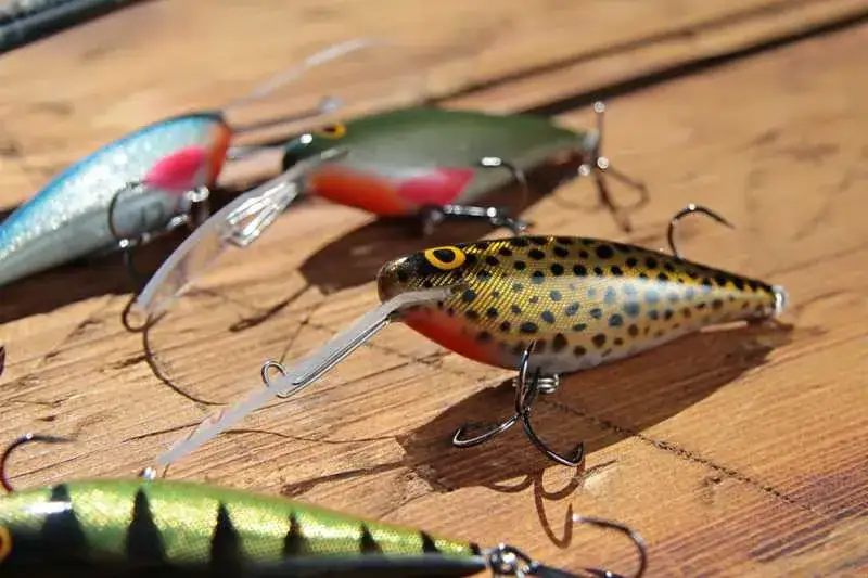 Najlepsze przynęty na sandacza, które zwiększą Twoje szanse na sukces