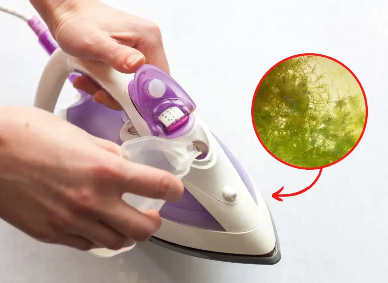 Ręce nalewają wodę do żelazka parowego, obok powiększony obraz osadu.