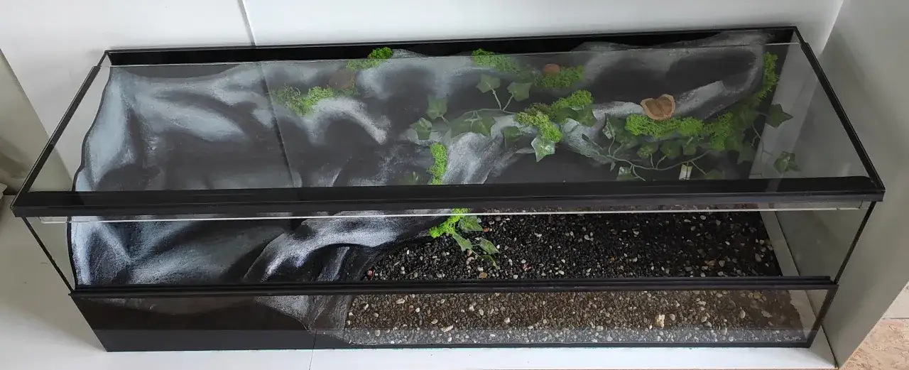 Żółw wodno-lądowy: Akwaterrarium od A do Z. Bez błędów!