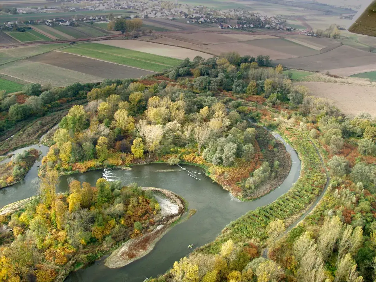 Graniczne Meandry Odry: Wieża, kajaki, bobry pełny przewodnik