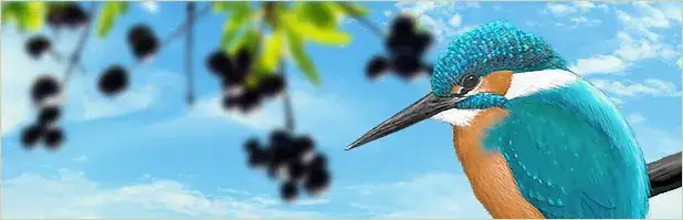 Gżegżółka: Jak poprawnie zapisać tę nazwę ptaka?