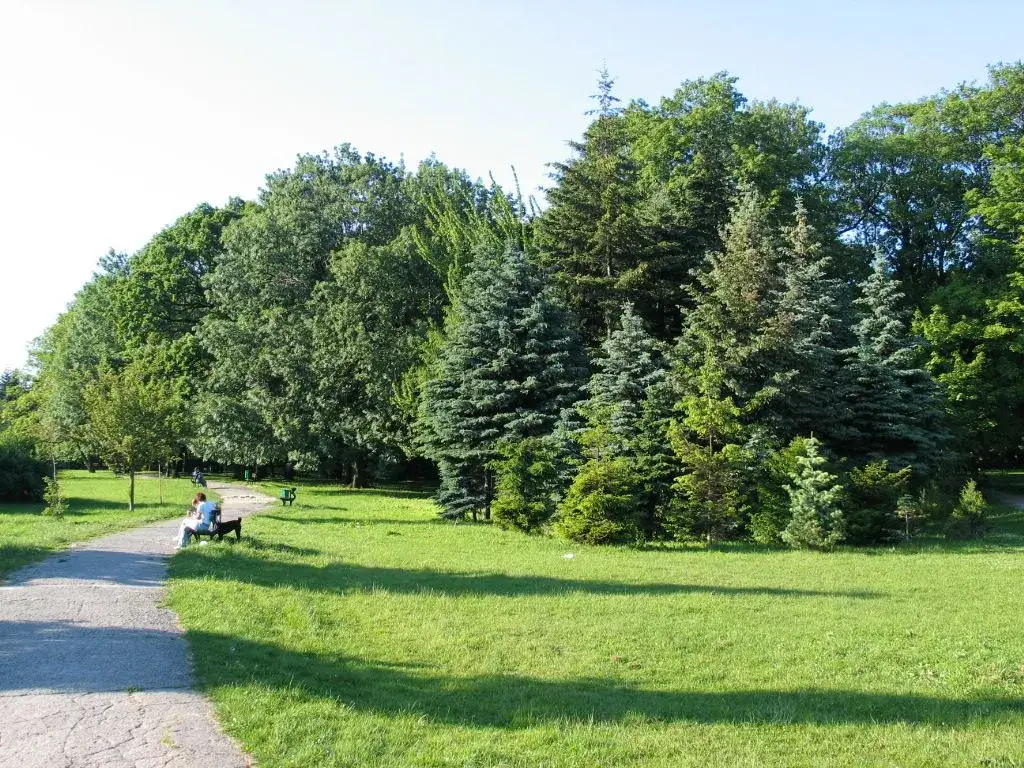 Najlepsze atrakcje w Parku Źródliska, które musisz zobaczyć