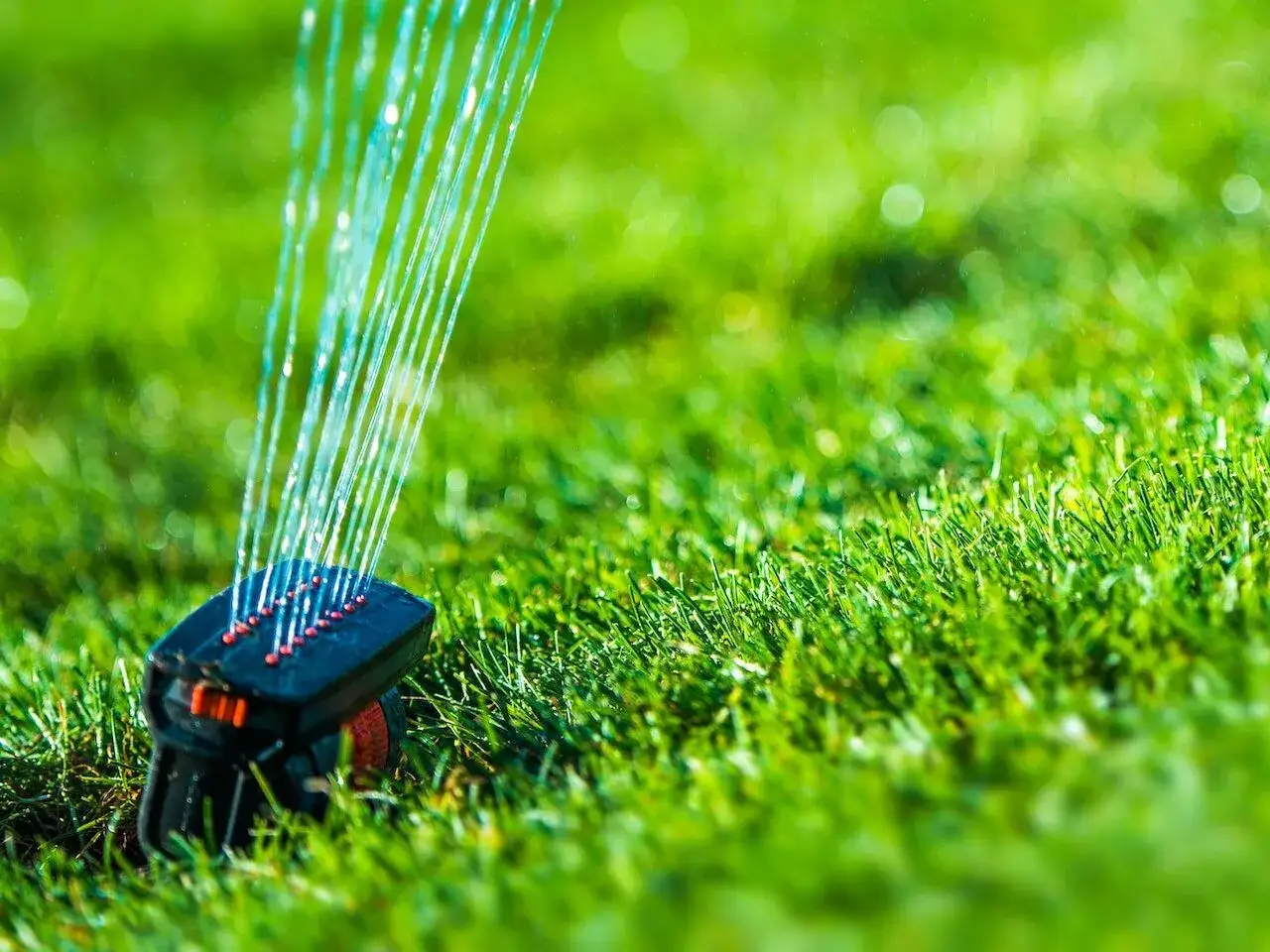 Zraszacze: Statyczne vs Turbinowe Które lepsze dla Twojego ogrodu?