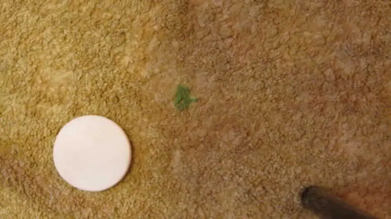 Jak skutecznie usunąć plastelinę z wykładziny bez uszkadzania materiału