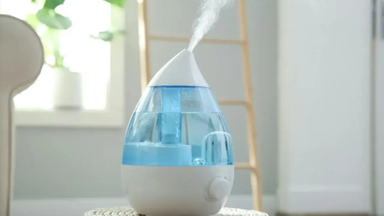 Gdzie kupić nawilżacz powietrza? Sprawdź najlepsze oferty i promocje