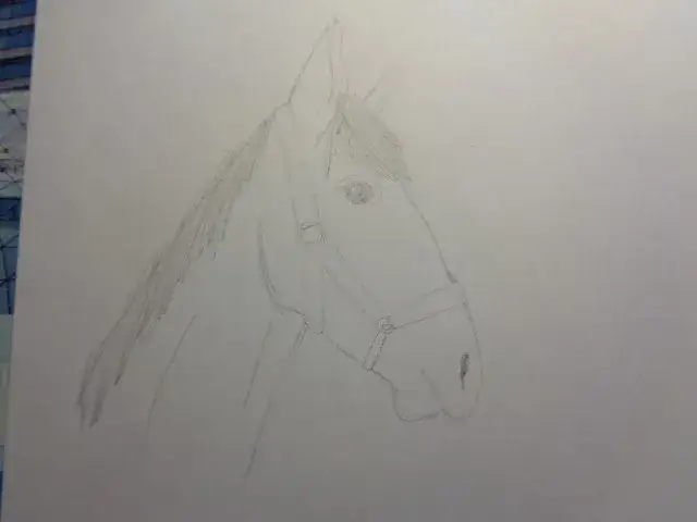 Jak namalować głowę konia krok po kroku - proste wskazówki dla każdego
