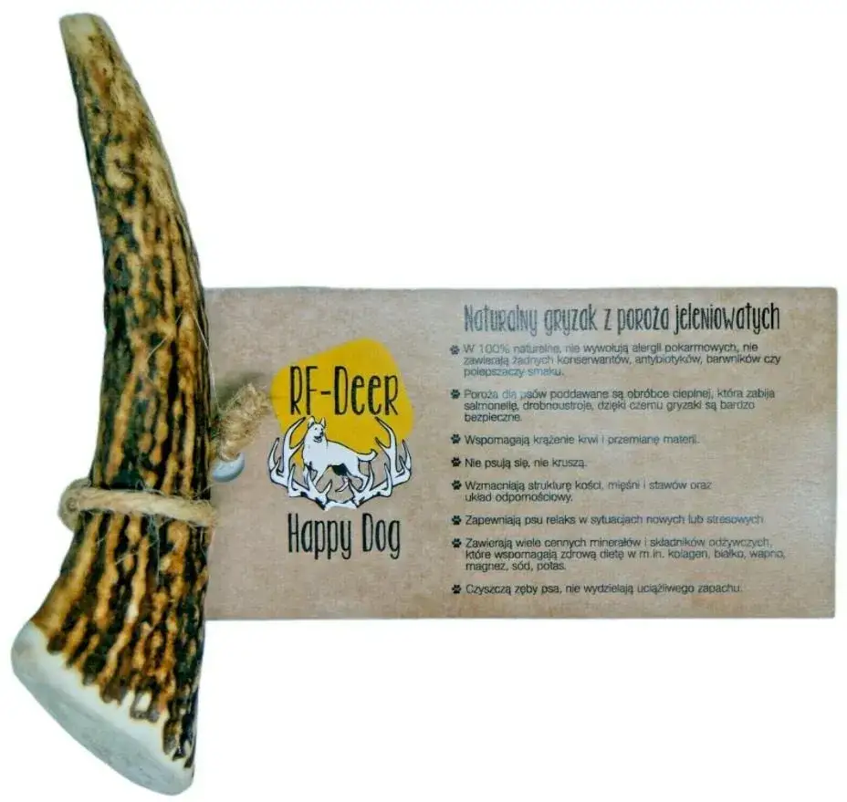 Róg jelenia dla psa od kiedy? Sprawdź, co musisz wiedzieć