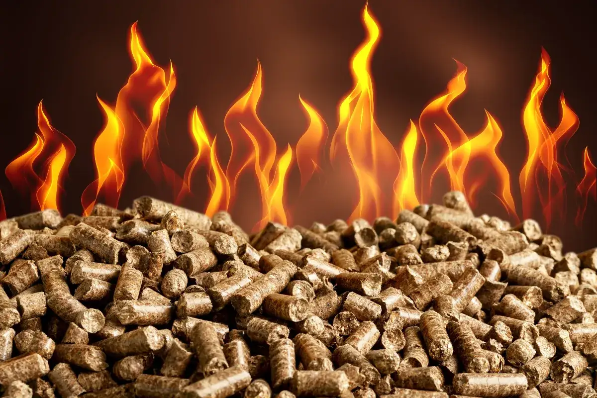 Płonące płomienie nad stertą pelletu drzewnego. To jest biomasa, ekologiczne paliwo przyszłości.