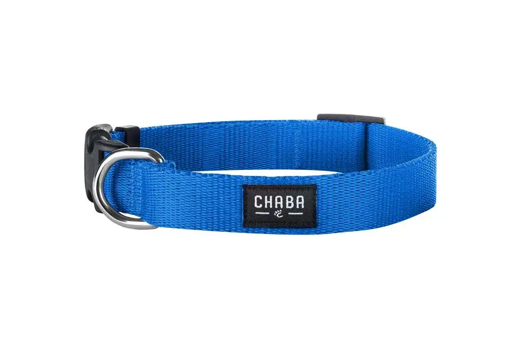 Jaka obroża dla labradora zapewni komfort i bezpieczeństwo?