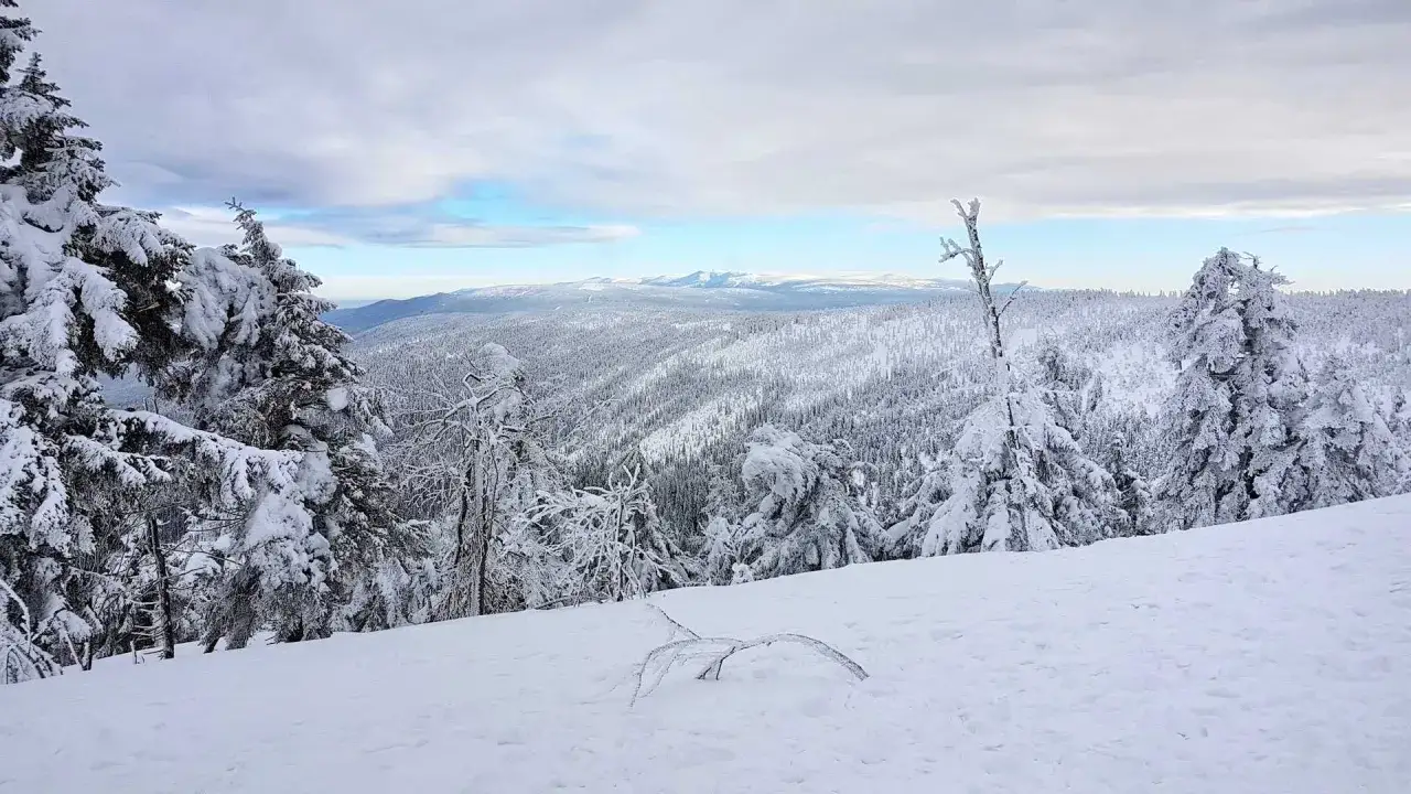 Najlepsze miejsca gdzie na sanki Dolny Śląsk: TOP 12 lokalizacji na zjeżdżanie
