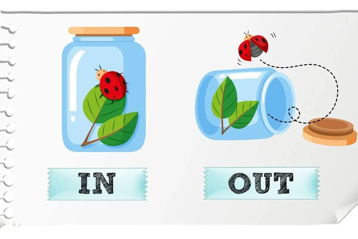 Przyimki w języku angielskim: kompletny przewodnik po użyciu przyimków