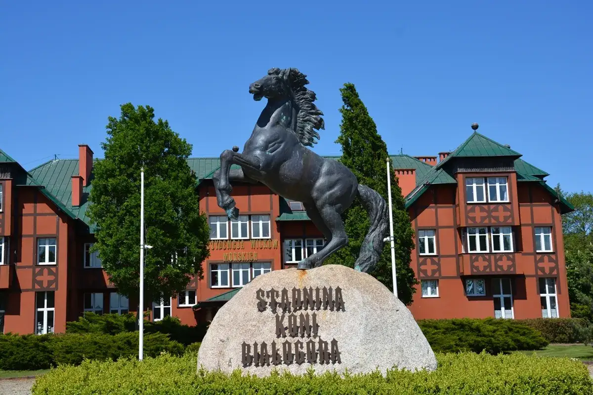 Białogóra: Jazda konna nad morzem galop po plaży, cennik, noclegi