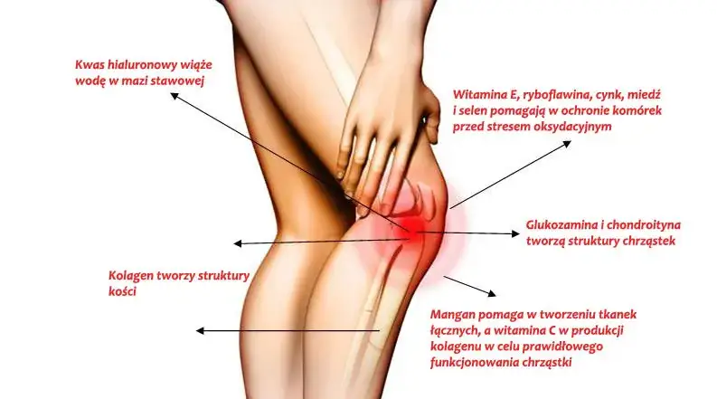 Ból kolana po bieganiu? Poznaj przyczyny i wróć do biegania bez bólu!