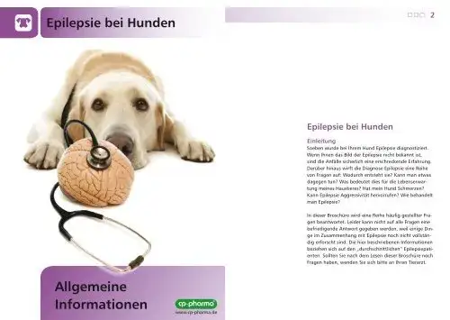 Epilepsie Hund: Medikamente, Kosten & Leben mit der Krankheit