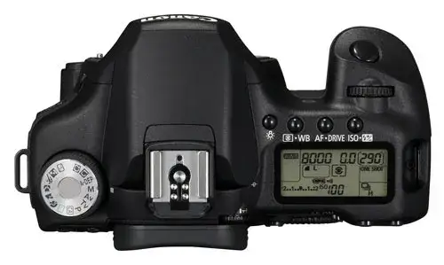 Lustrzanka Canon 50D - co musisz wiedzieć przed zakupem?