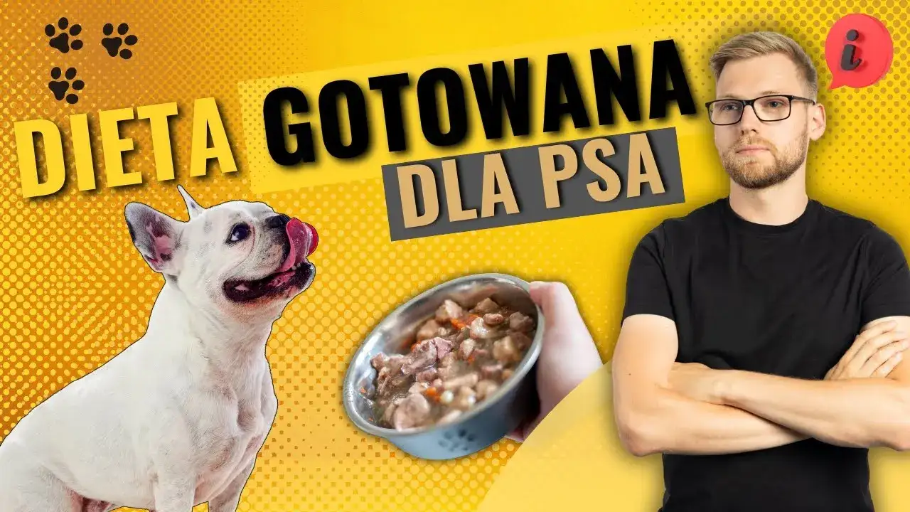 Jak gotowana wieprzowina dla psa może poprawić jego zdrowie?