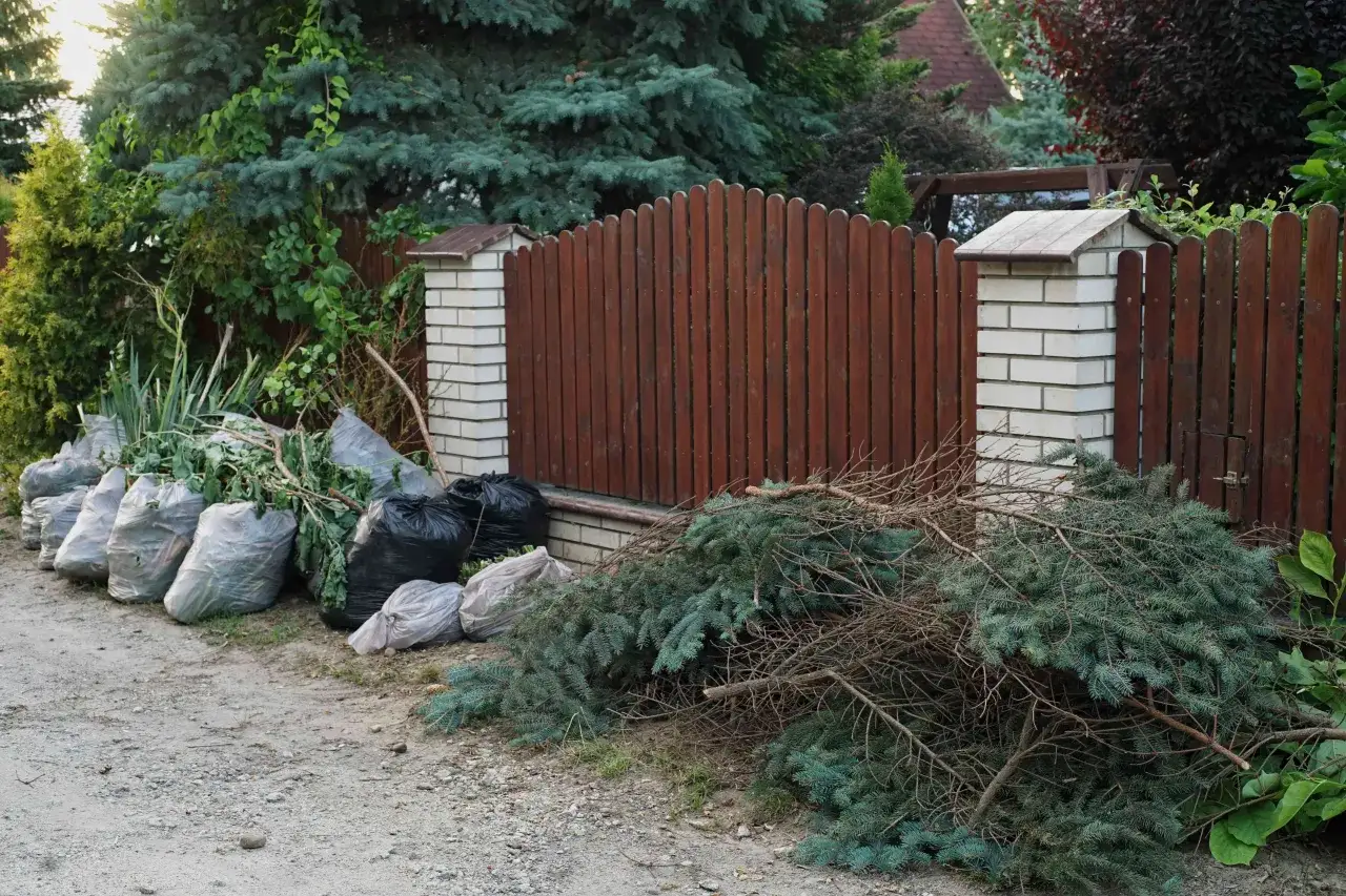 Gdzie wyrzucić gałęzie z działki, aby uniknąć kar i problemów?