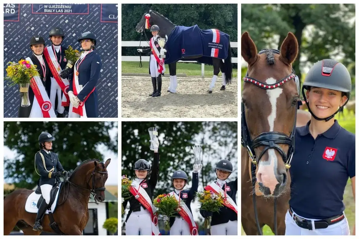 Jak liczyć wiek w jeździectwie? Kategorie PZJ i zasady rywalizacji