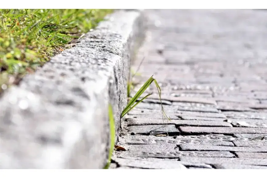 Jaki krawężnik na podjazd - wybierz najlepszy model dla swojego wjazdu