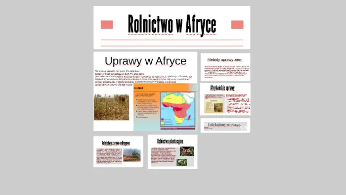 Jakie rośliny uprawia się w Afryce? Najważniejsze uprawy i ich znaczenie