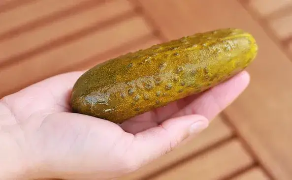 Ile kalorii ma ogórek? Prawda o IG i diecie Paulina Witkowska