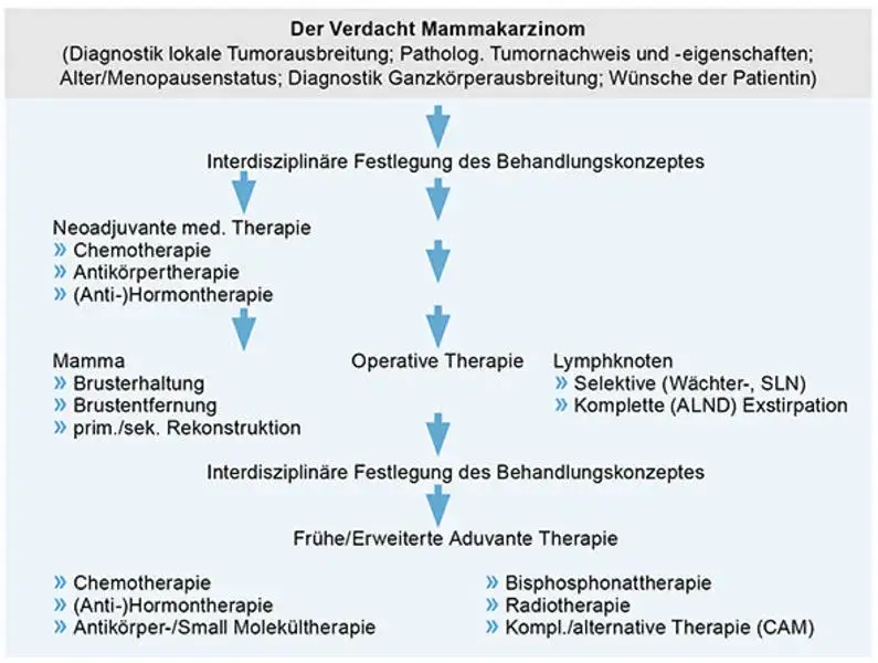 Mammakarzinom Diagnostik: Wichtige Verfahren und ihre Bedeutung für die Früherkennung
