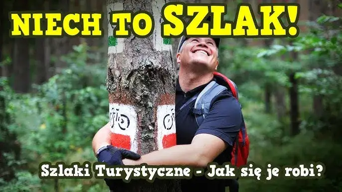 Jak powstają szlaki górskie - procesy, materiały i organizacje za nimi