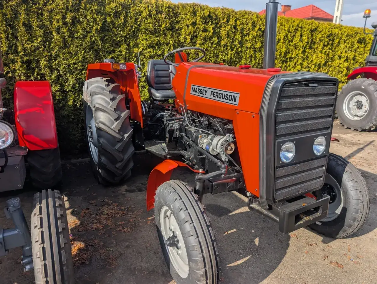 Pomarańczowy ciągnik Massey Ferguson. Zastanawiasz się, ile kosztuje ciągnik rolniczy? Ten model wygląda na solidny.