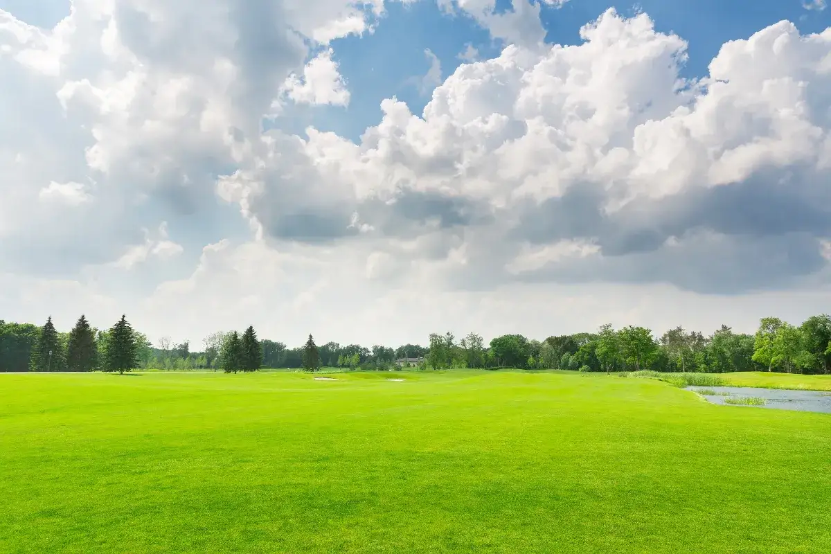 Co to jest działka rekreacyjna? Zrozumienie przepisów i zastosowań