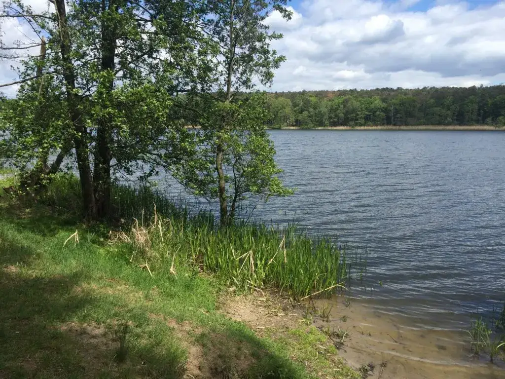 Jezioro Łódzko-Dymaczewskie: Twój przewodnik. Raj blisko Poznania!