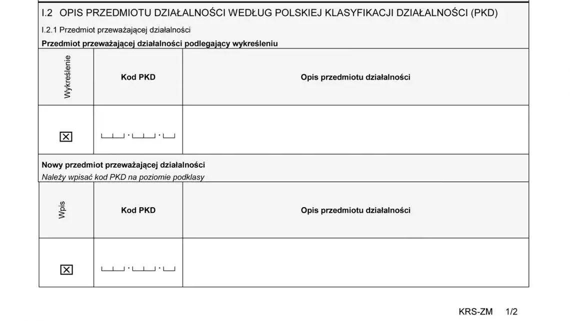 Ile PKD w KRS? Sprawdź, co grozi firmom z nadmiarem kodów