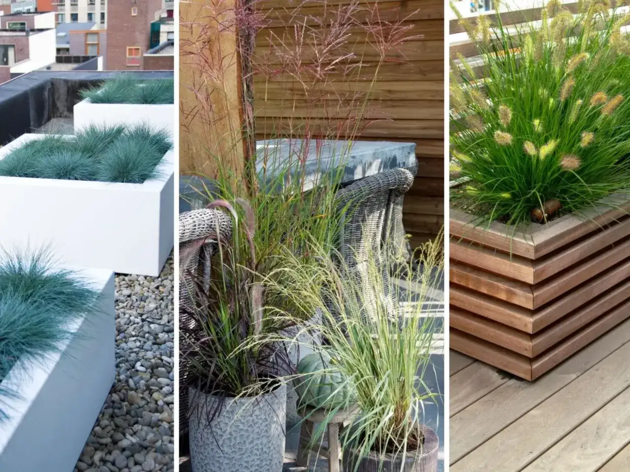 Miskanty w donicach tworzą zieloną oazę na tarasie. Różne rodzaje traw ozdobnych w nowoczesnych i kamiennych pojemnikach.