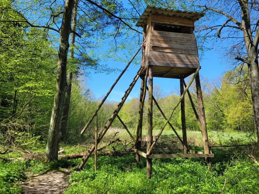 Rezerwat przyrody Wiączyń: unikalne ekosystemy i historia w jednym miejscu