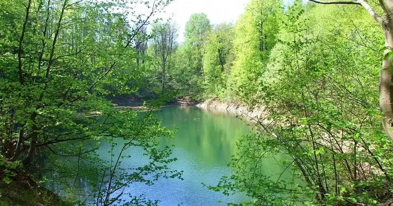 Rezerwat przyrody Jeziorko Daisy - odkryj tajemnice i atrakcje