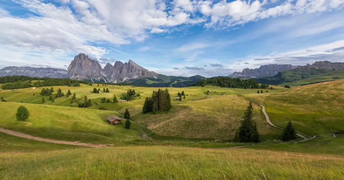Czy wieża w Zawoi oferuje najlepszą panoramę Beskidów? Sprawdź sam