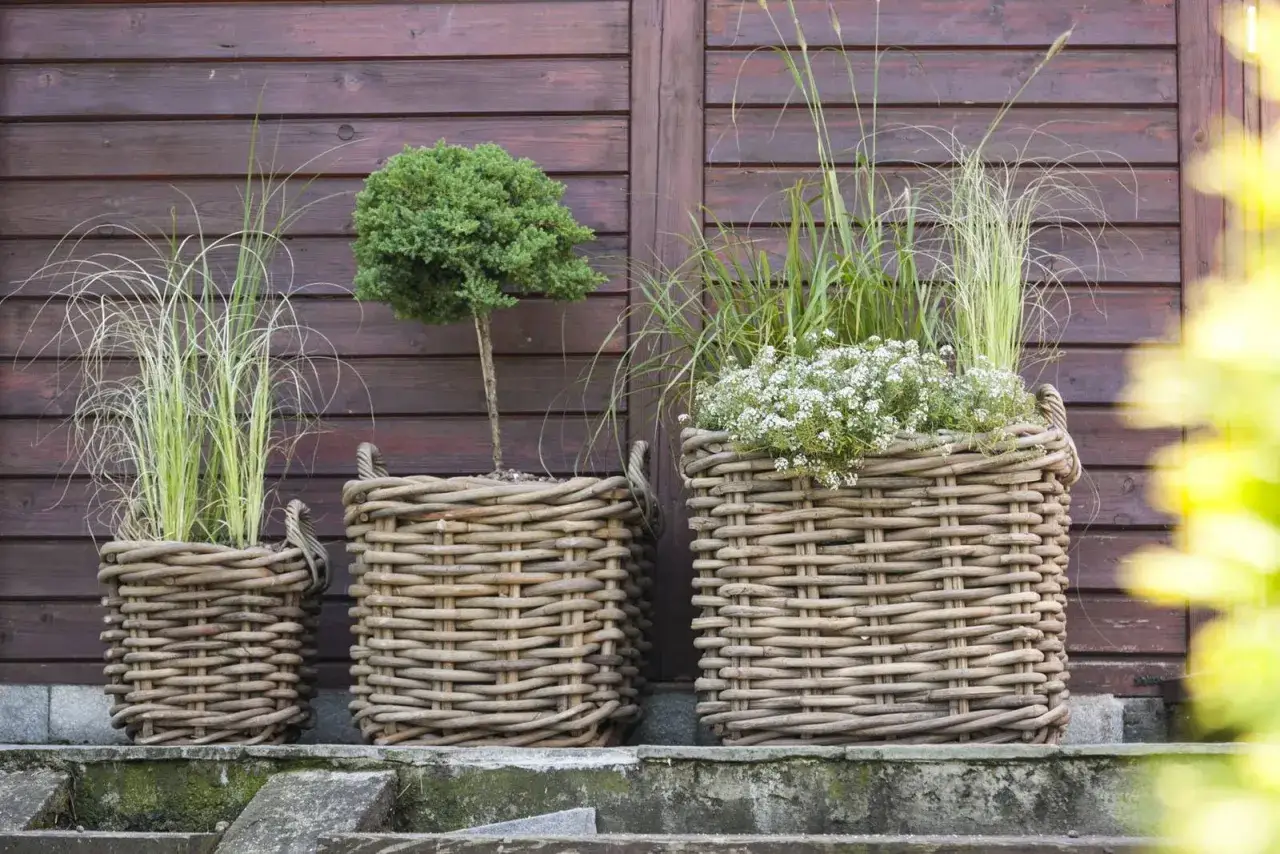  Rattanowe kosze - eleganckie i praktyczne dekoracje wnętrz