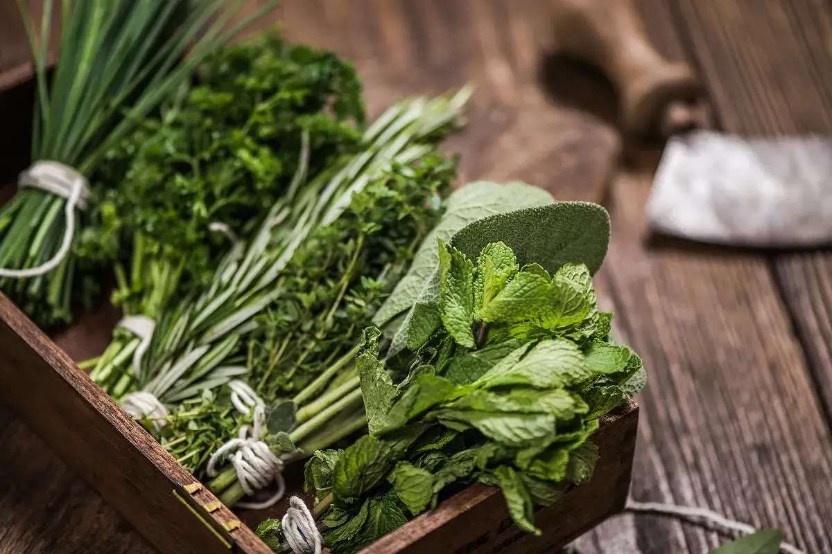 Jakie zioła pić na ładną cerę? Odkryj ich niesamowite właściwości