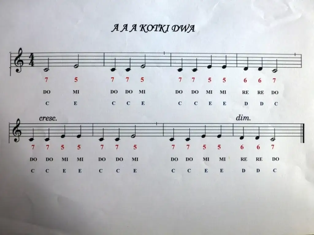 Jak zagrać na flecie wlazł kotek na płotek – proste nuty i techniki