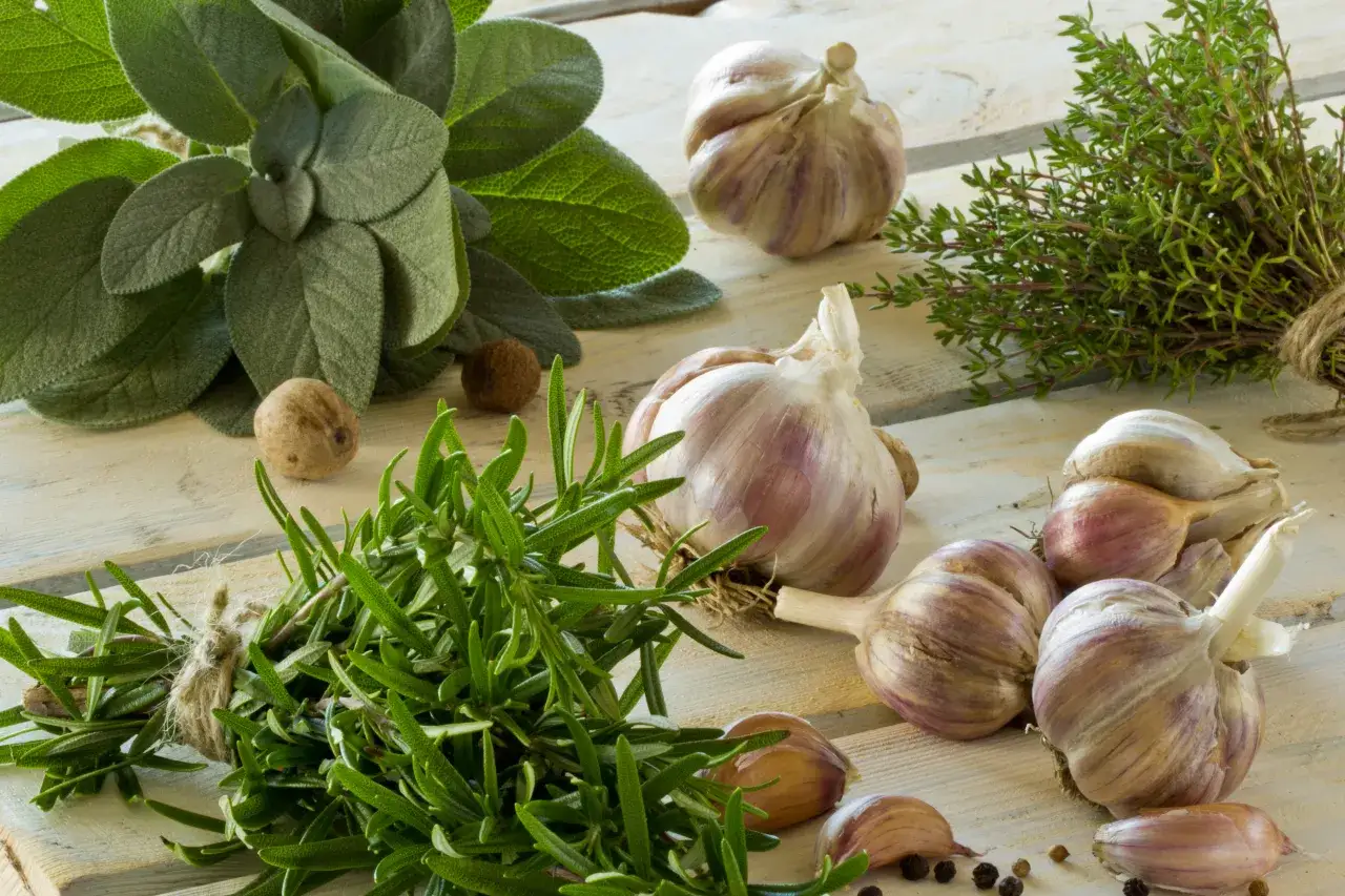 Skuteczne sposoby, jak usunąć zapachy z kuchni raz na zawsze