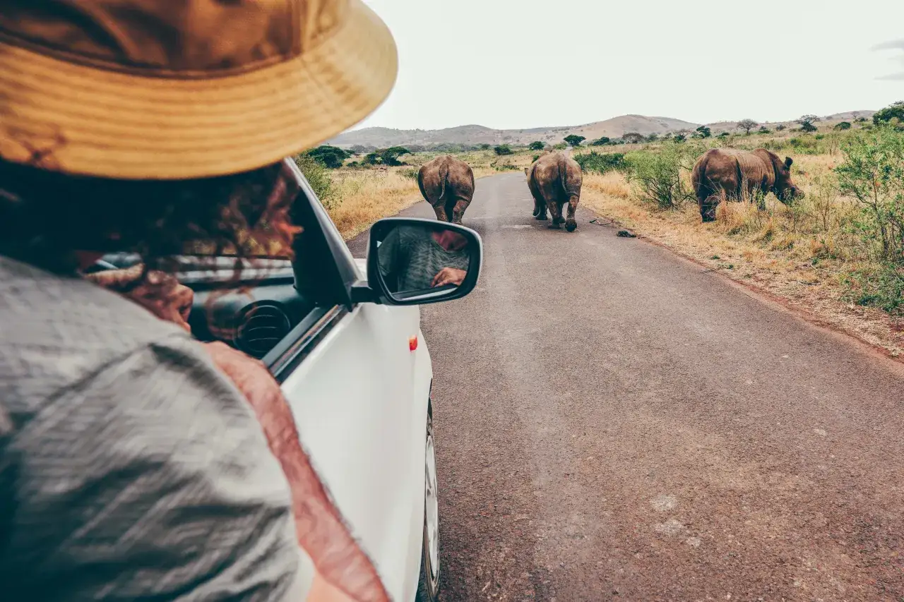 Najlepszy czas na podróż do RPA: przewodnik po terminach i atrakcjach