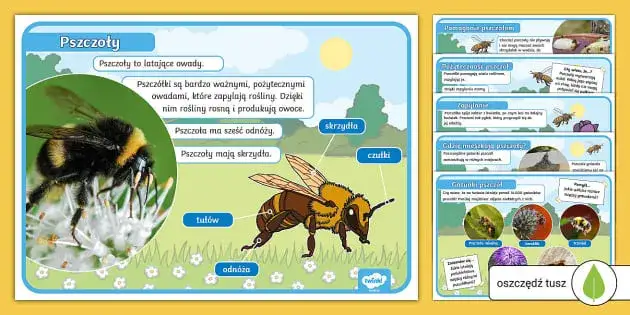 Zagadki o pszczołach: edukacyjne zabawy i ciekawostki dla dzieci