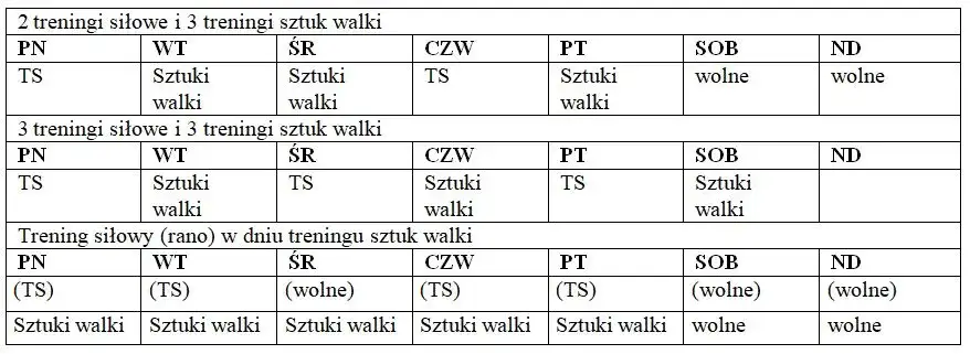 Jak cwiczyc MMA: skuteczne techniki i plany treningowe dla początkujących