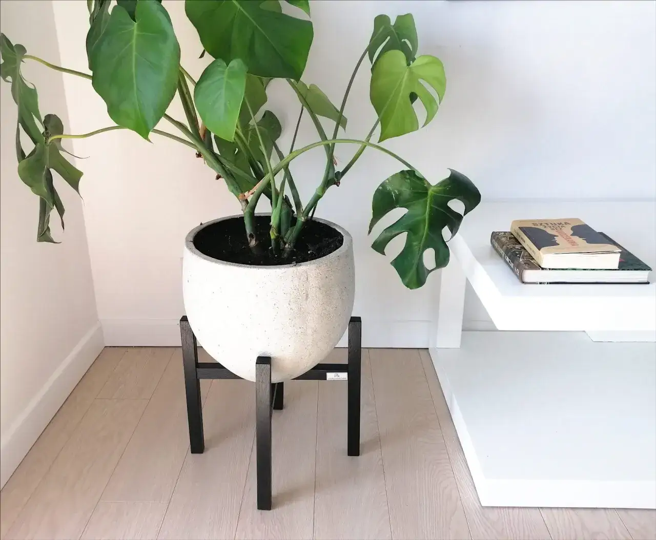 Stylowe kwietniki do salonu – jak wybrać idealny dodatek do wnętrza