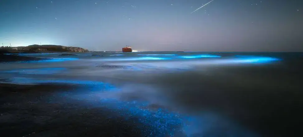 Morze gwiazd gdzie jest – odkryj tajemnice tego niezwykłego miejsca