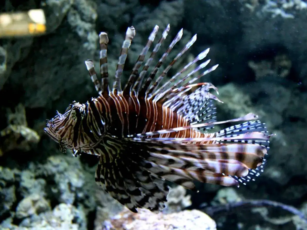 Oceanarium Niechorze: Czy warto? Opinie, ceny, porady