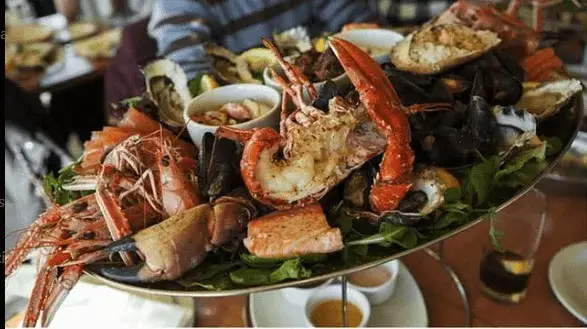 Gastronomía de Galicia: Sabores del mar y tierra que te enamorarán
